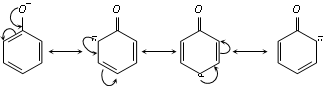 1144_chemical properties of phenol1.png